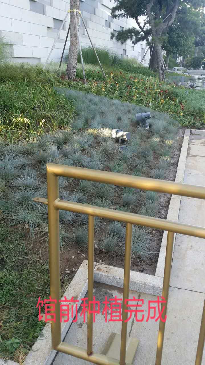 1507778654963395.jpg
